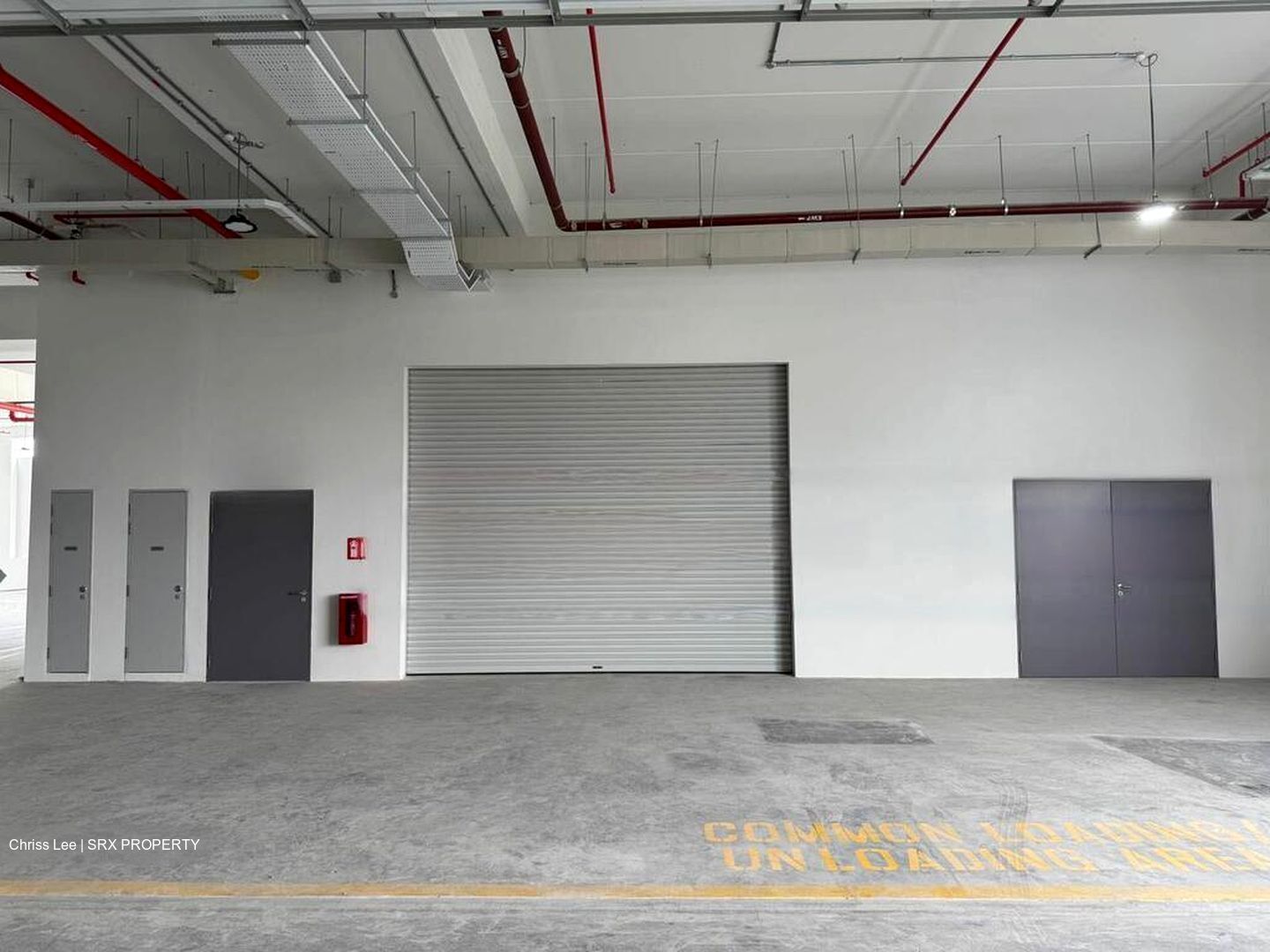 Ct Foodnex (D25), Factory #472254371